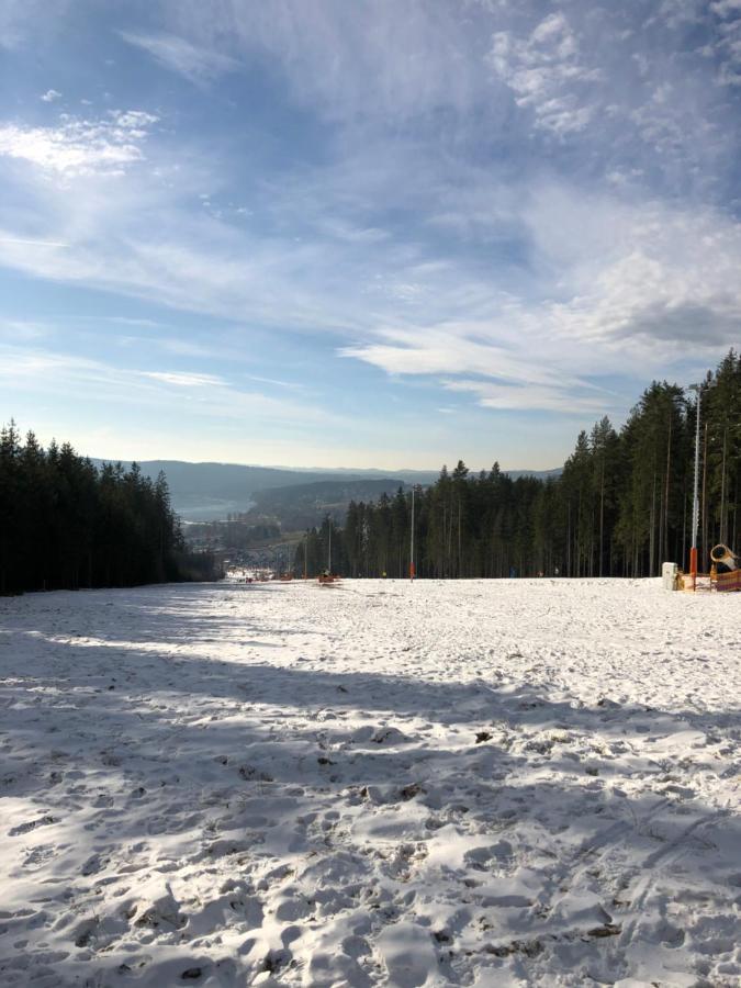 L&B Lake View Modern Apartment Lipno nad Vltavou Exterior foto